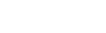 Immerion Casino: Viva Wallet